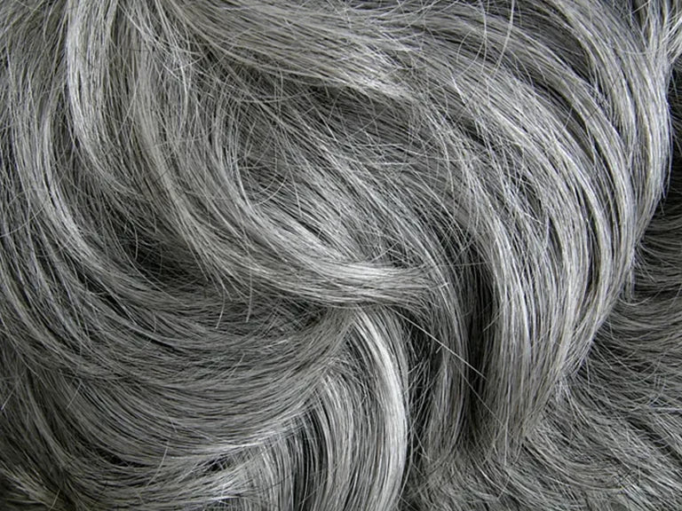 Best Wigs for Mom/Grandma – Salt and Pepper